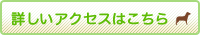 詳しいアクセスはこちら