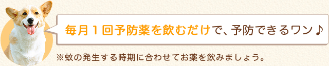 毎月1回予防薬を飲むだけで、予防できるワン♪