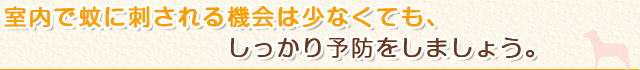 室内で蚊に刺される機会は少なくても、しっかり予防をしましょう。