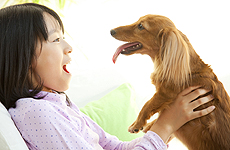 室内で蚊に刺される機会は少なくても、しっかり予防をしましょう。