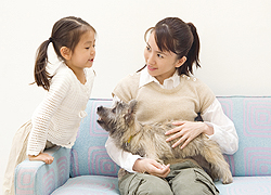 コミュニケーション