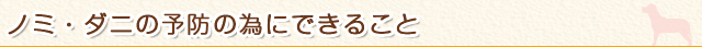 ノミ・ダニの予防のためにできること
