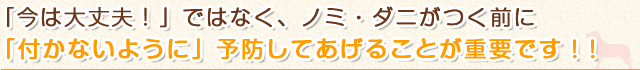 「今は大丈夫！」ではなく、ノミ・ダニがつく前に「付かないように」予防してあげることが重要です！！