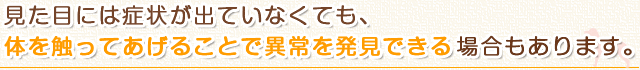 見た目には症状が出ていなくても、体を触ってあげることで異常を発見できる場合もあります。