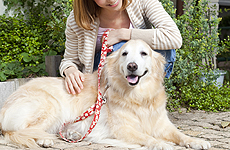 病気の早期発見・早期予防のためにも定期的な診断を